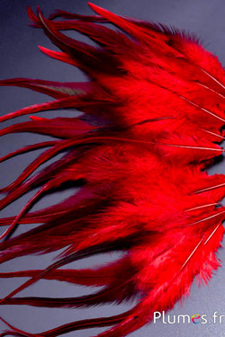 Gallo - 17-21 cm - rosso caffè
